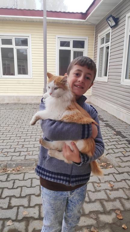 26-11-2019
